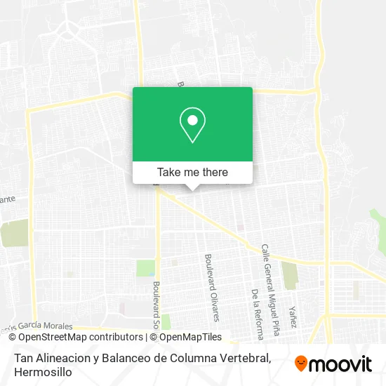 Tan Alineacion y Balanceo de Columna Vertebral map