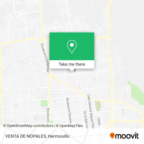 Mapa de VENTA DE NOPALES