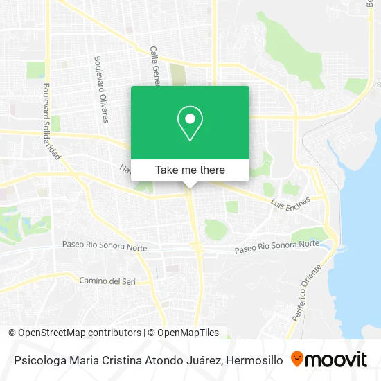 Mapa de Psicologa Maria Cristina Atondo Juárez