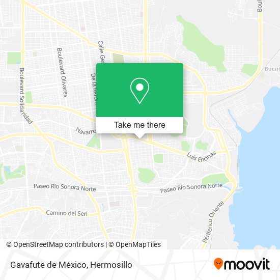 Gavafute de México map