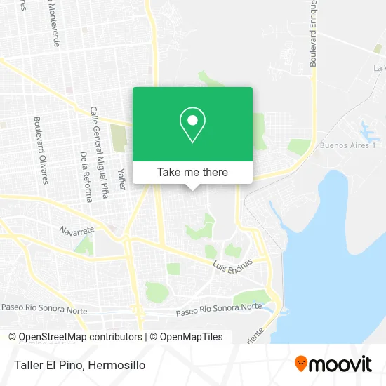 Taller El Pino map