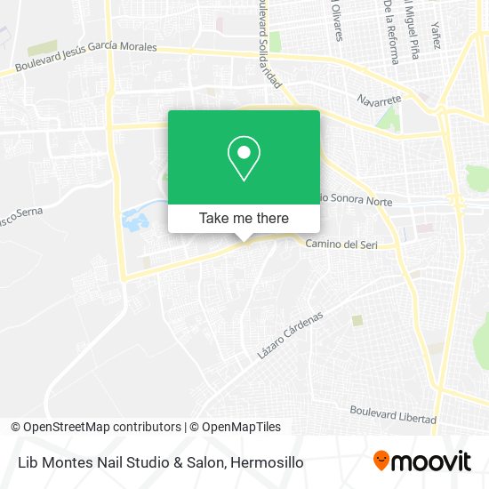 Lib Montes Nail Studio & Salon map