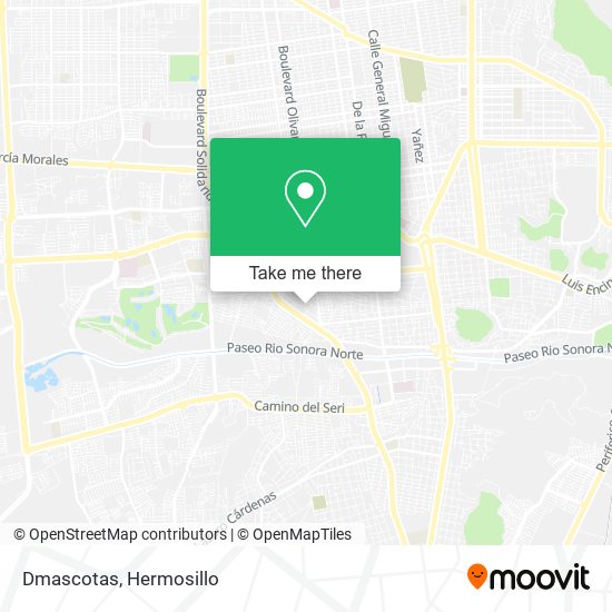 Mapa de Dmascotas