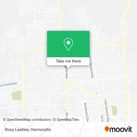 Roxy Lashes map