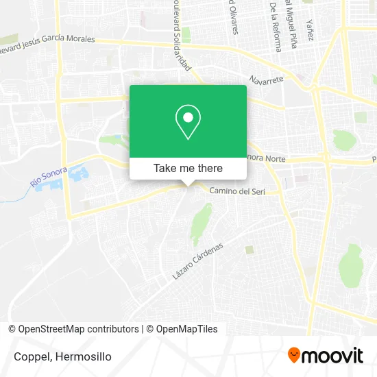 Coppel map