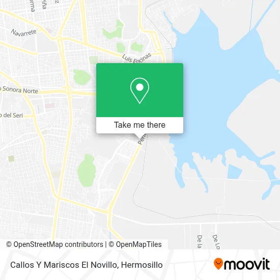 Callos Y Mariscos El Novillo map