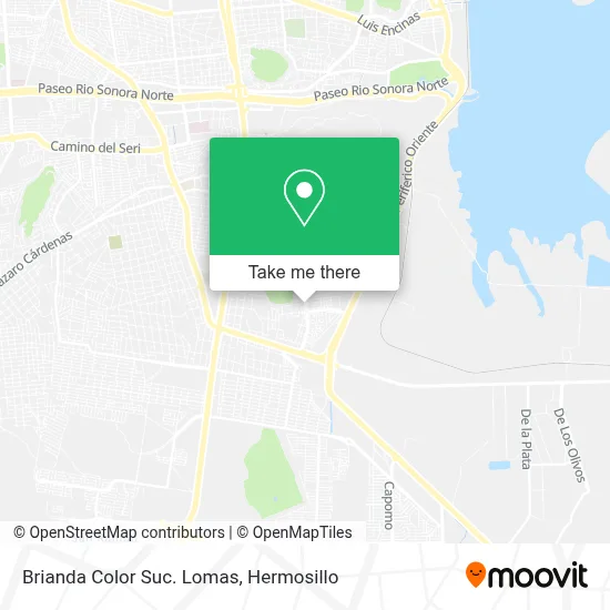 Brianda Color Suc. Lomas map