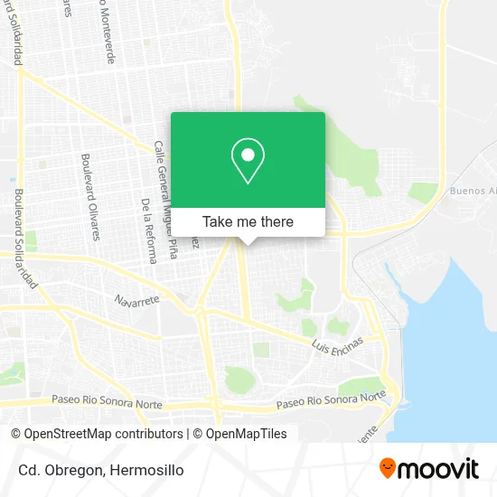 Cd. Obregon map