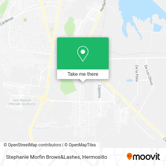 Stephanie Morfin Brows&Lashes map
