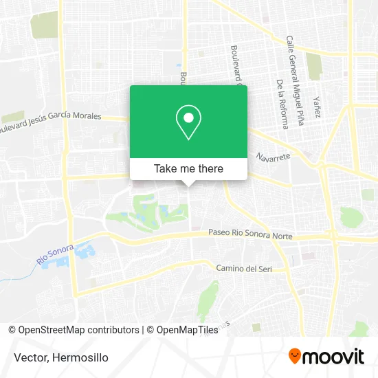 Vector map