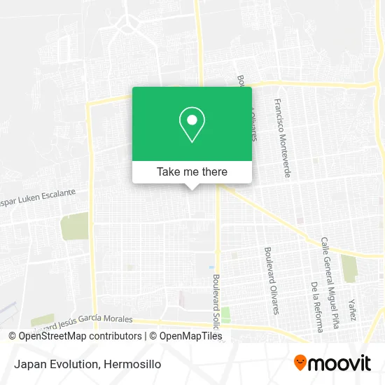 Japan Evolution map