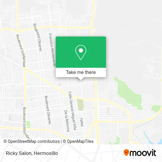 Ricky Salon map