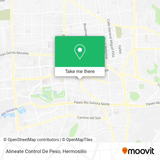 Alineate Control De Peso map