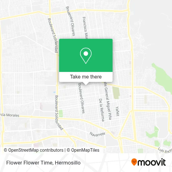 Flower Flower Time map