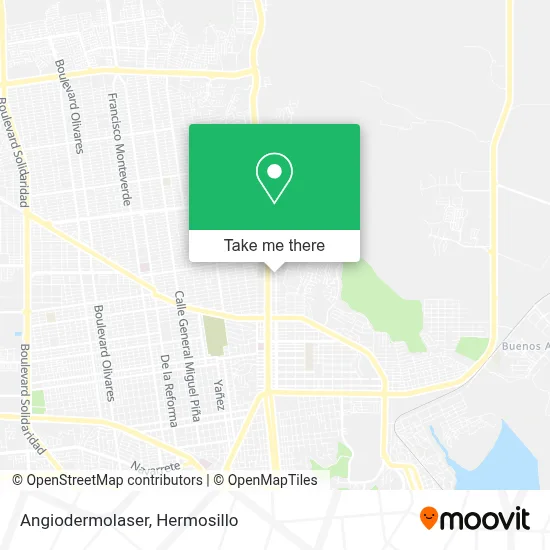 Angiodermolaser map