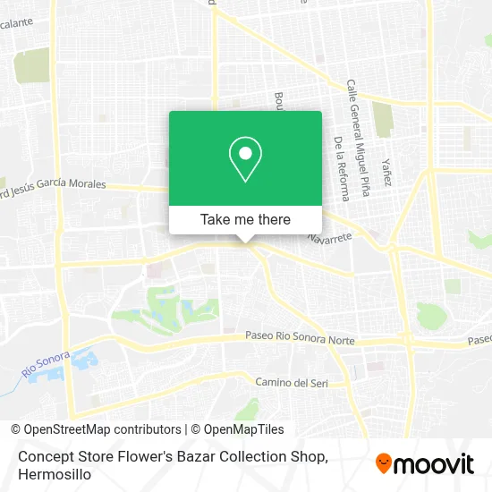 Concept Store Flower's Bazar Collection Shop map