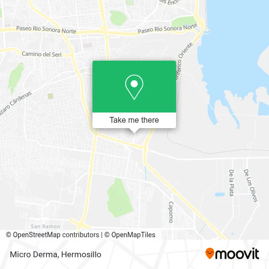 Micro Derma map