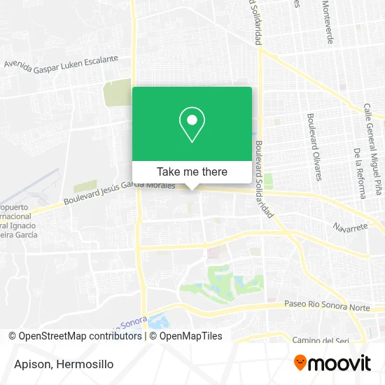 Apison map