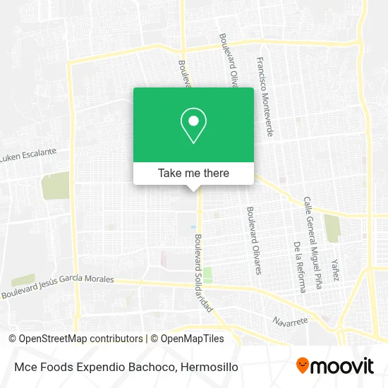 Mce Foods Expendio Bachoco map