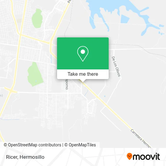 Ricer map