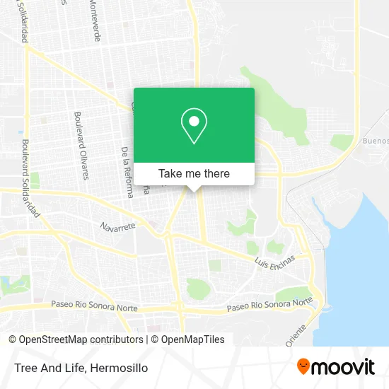 Tree And Life map