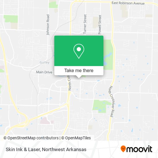 Skin Ink & Laser map