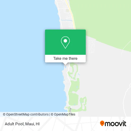 Adult Pool map