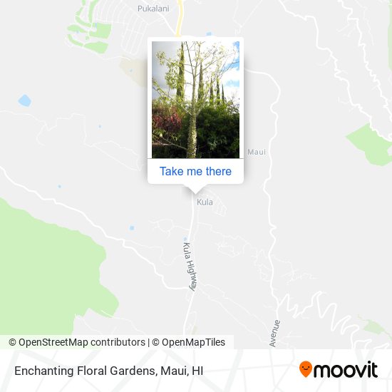 Mapa de Enchanting Floral Gardens