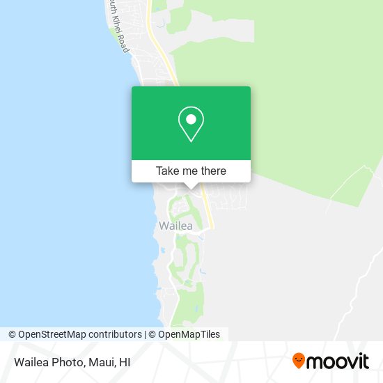 Mapa de Wailea Photo