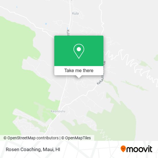 Mapa de Rosen Coaching