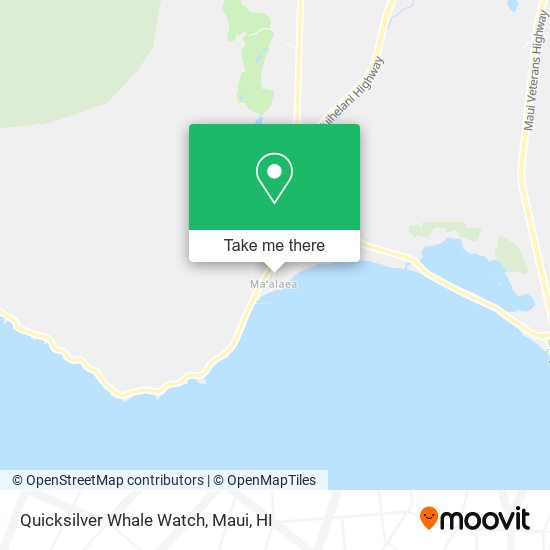 Quicksilver Whale Watch map