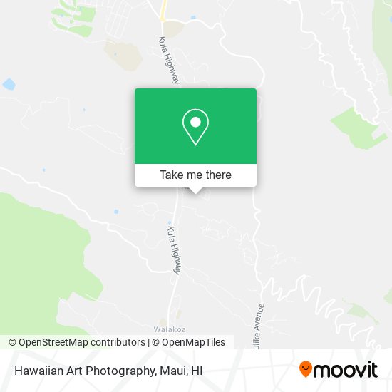 Hawaiian Art Photography map