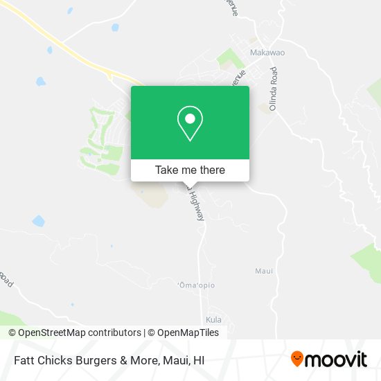Fatt Chicks Burgers & More map