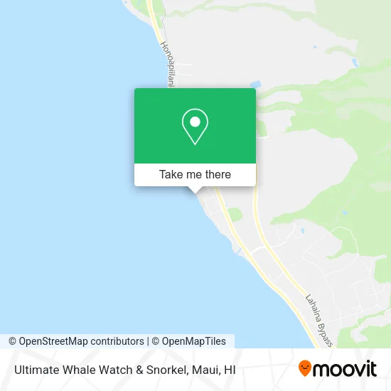 Ultimate Whale Watch & Snorkel map