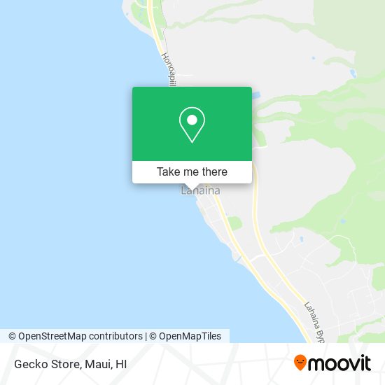 Mapa de Gecko Store