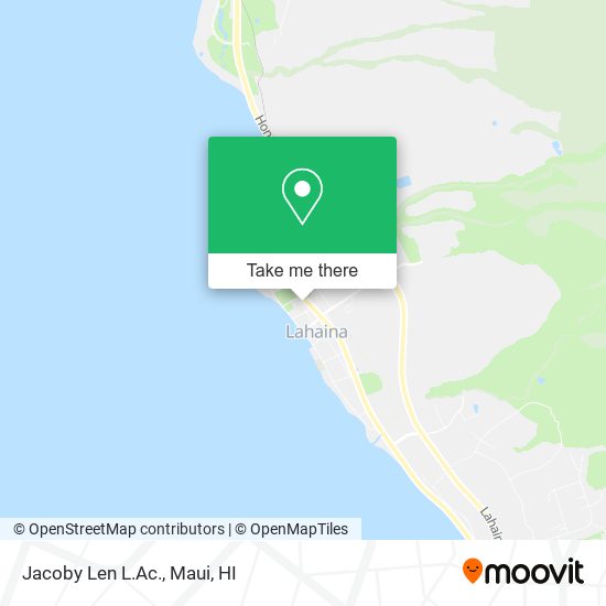 Mapa de Jacoby Len L.Ac.