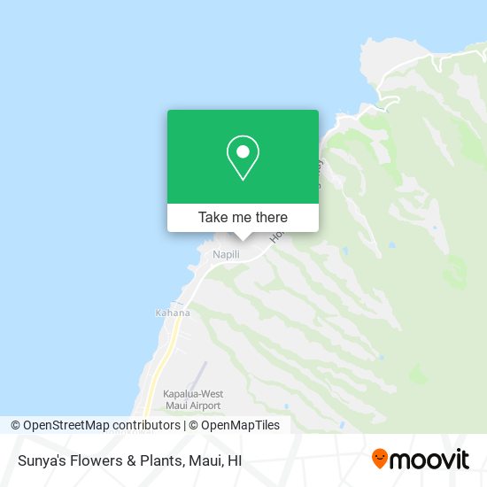 Sunya's Flowers & Plants map