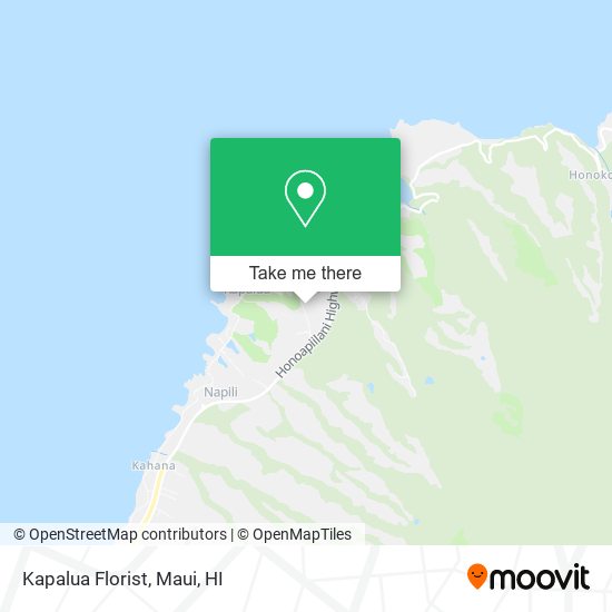 Kapalua Florist map