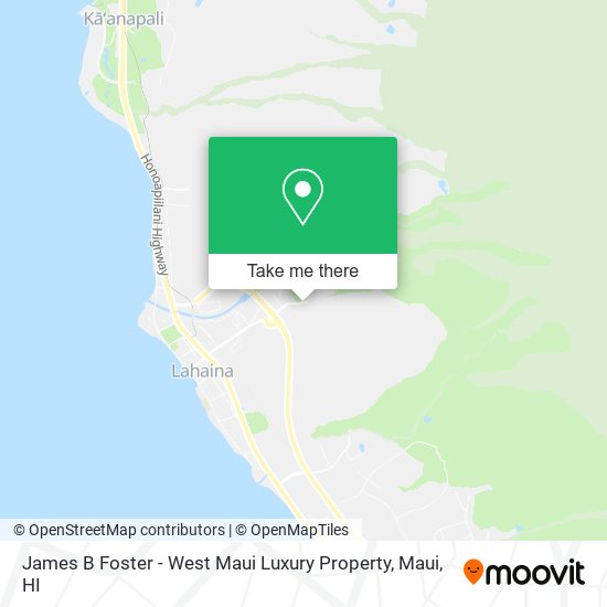 Mapa de James B Foster - West Maui Luxury Property