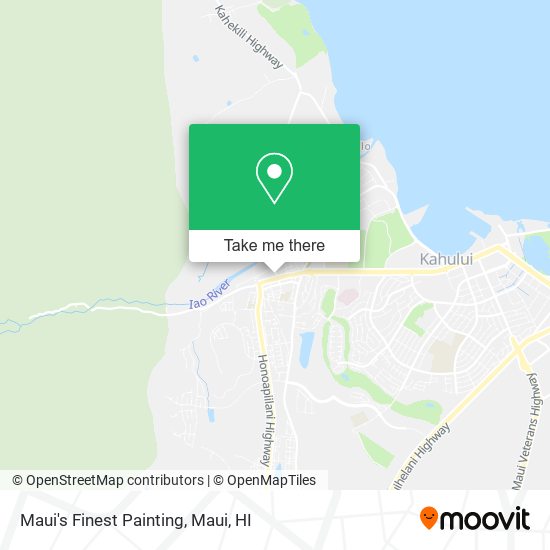 Maui's Finest Painting map