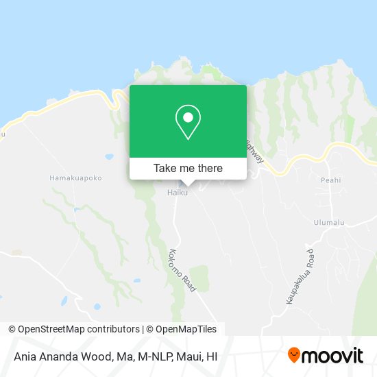 Ania Ananda Wood, Ma, M-NLP map