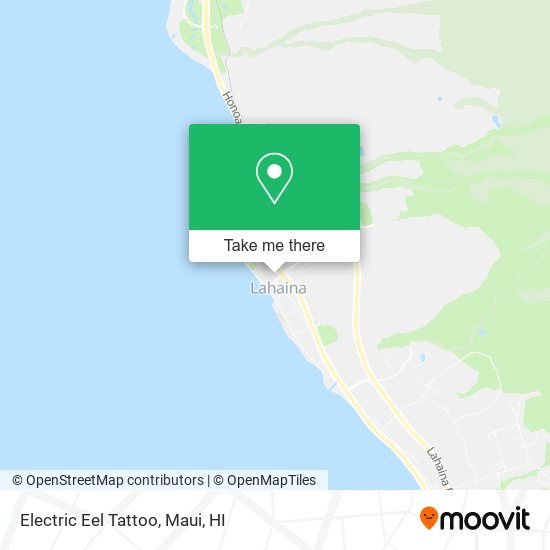 Electric Eel Tattoo map