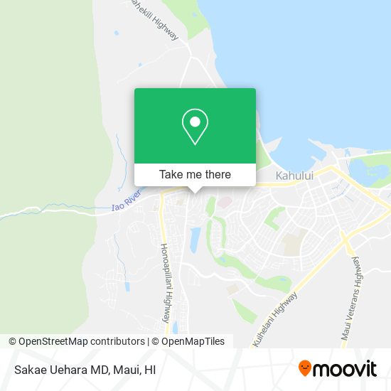 Mapa de Sakae Uehara MD