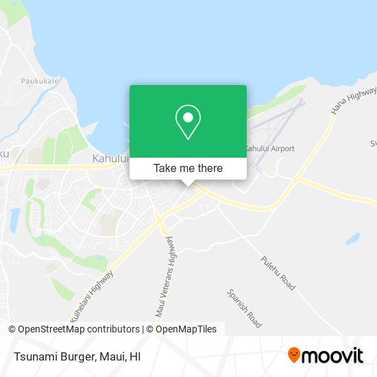 Tsunami Burger map