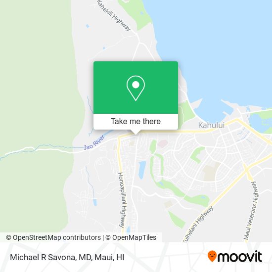 Mapa de Michael R Savona, MD