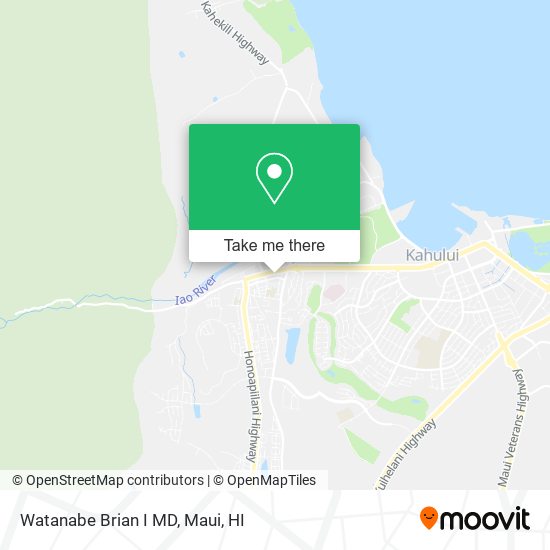 Mapa de Watanabe Brian I MD