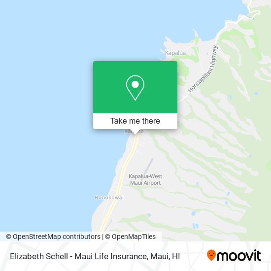 Elizabeth Schell - Maui Life Insurance map