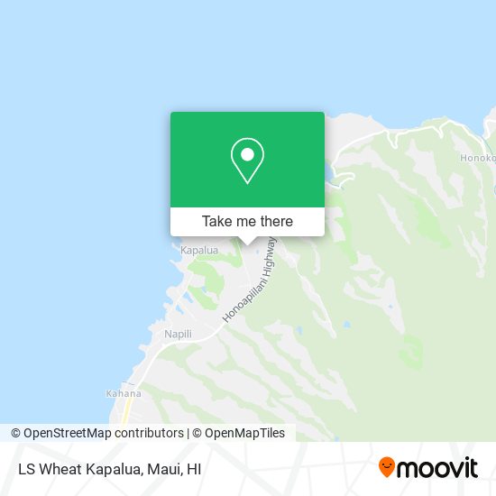 Mapa de LS Wheat Kapalua