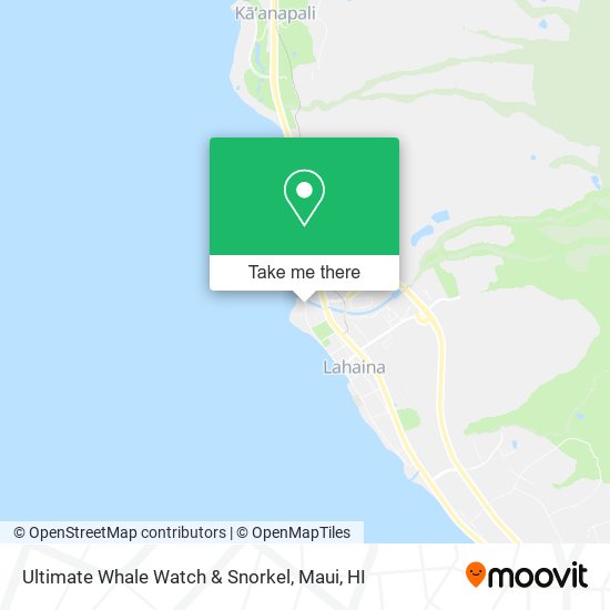 Mapa de Ultimate Whale Watch & Snorkel