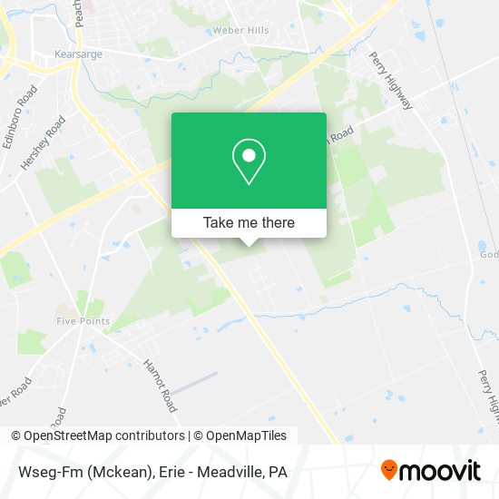 Wseg-Fm (Mckean) map